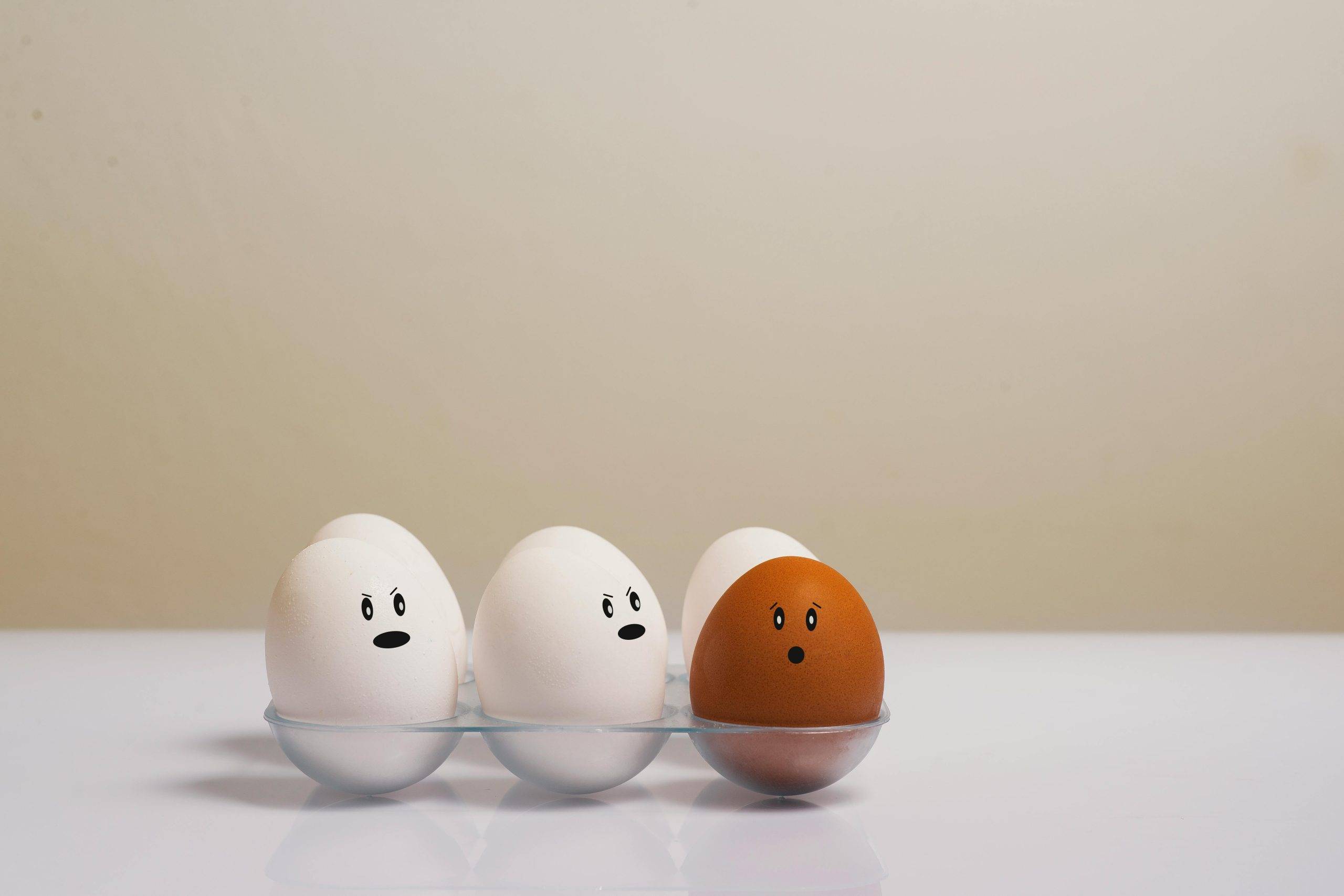 Prévention des discriminations : nouveau Référentiel de formation